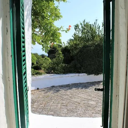 Trullo Panoramico 度假居 塞尔瓦·迪·法萨诺