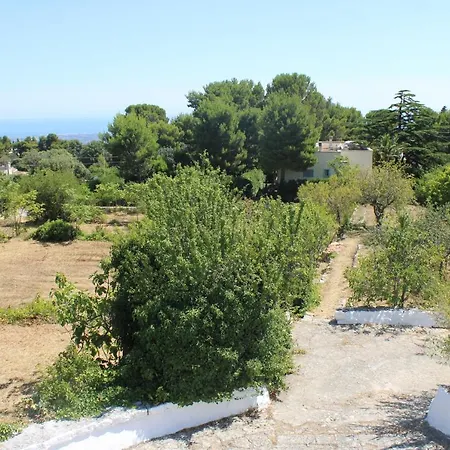 Trullo Panoramico * Сельва-ди-Фазано